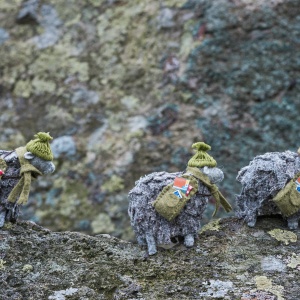 Herdwick Mice and Sheep